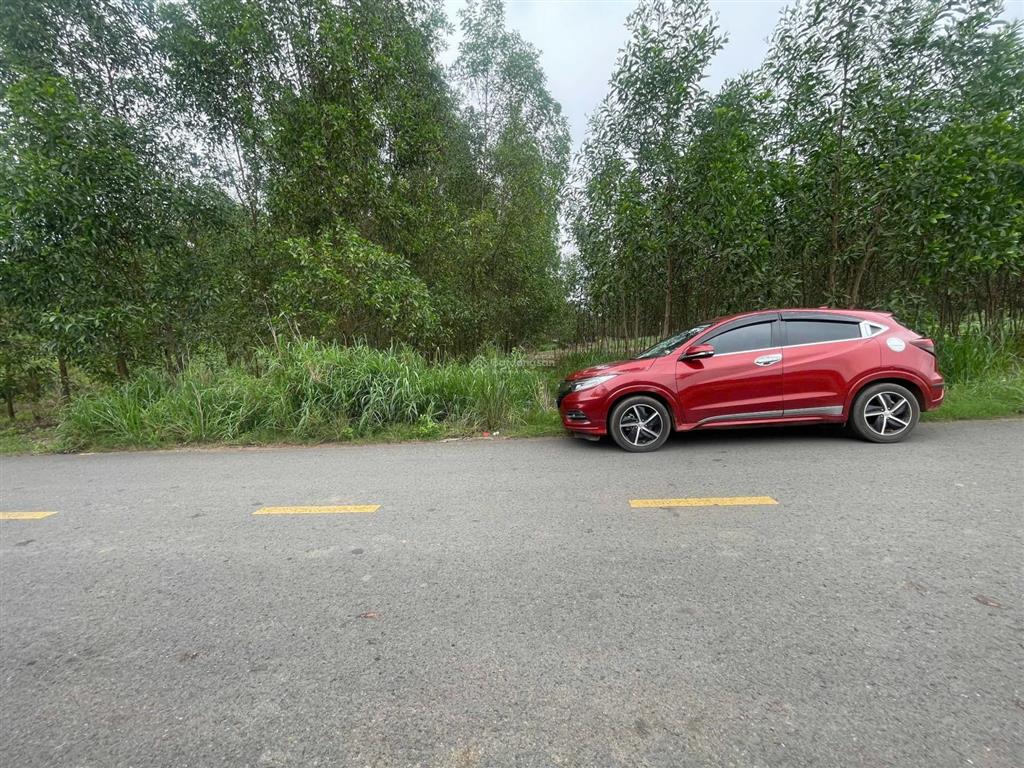 Bán 2,400m2 đất skc đóng tiền 1 lần đường nhựa, giá chỉ 15 tỉ