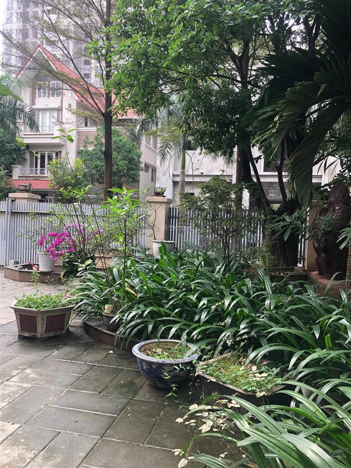 Cho thuê bt tại khu đô thị an hưng hà đông | 306m2 hướng đông nam