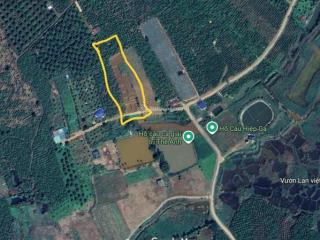 Bán lô đất siêu đẹp gần 1000m2, thổ cư 100m2, đường ngô quyền thị trấn di linh  lâm đồng