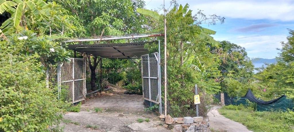Bán đất vườn đồi view biển và toàn cảnh tp. nha trang
