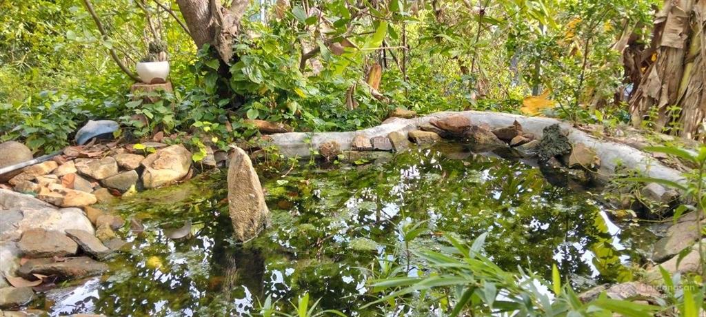 Bán đất vườn đồi view biển và toàn cảnh tp. nha trang
