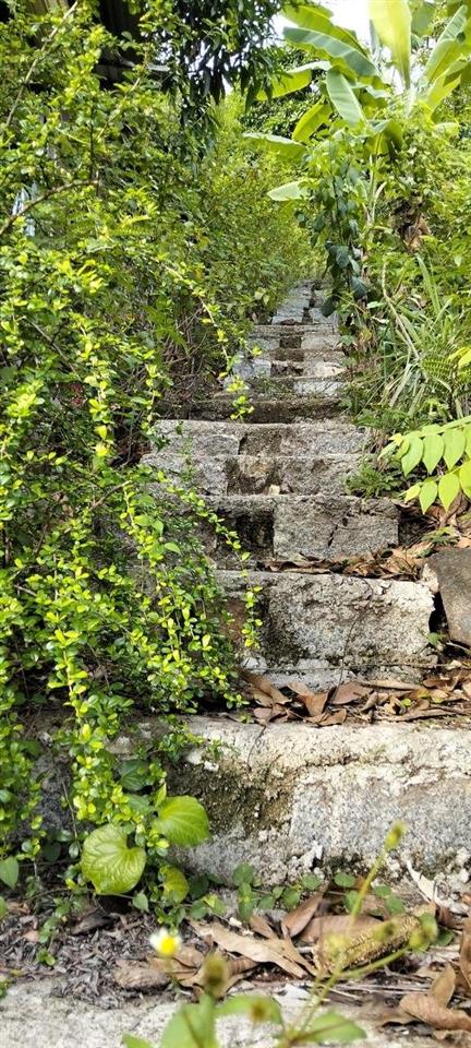 Bán đất vườn đồi view biển và toàn cảnh tp. nha trang
