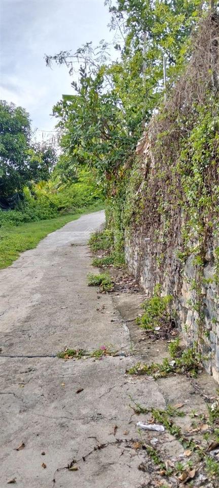 Bán đất vườn đồi view biển và toàn cảnh tp. nha trang