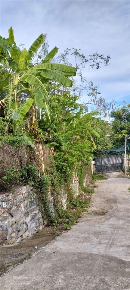 Bán đất vườn đồi view biển và toàn cảnh tp. nha trang