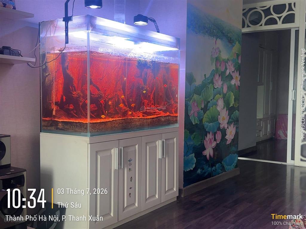 Bán căn góc 3pn 19 tỷ, 148.8m2 tại r1, royal city. nội thất xịn, thiết kế kiểu penhouse. bể cá, cây