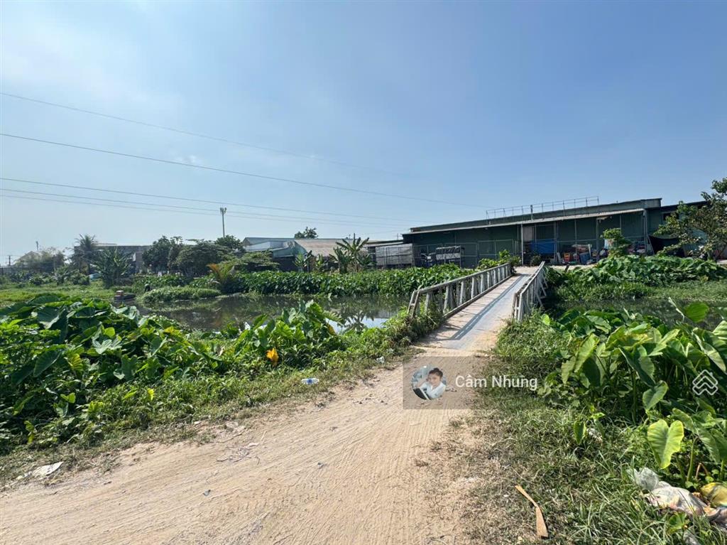 Bán nhà cấp 4 mặt view sông diện tích 494m² bình hòa 3, ta  bd, giá 4tỷ5,  0908 002 ***