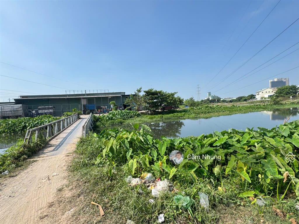 Bán nhà cấp 4 mặt view sông diện tích 494m² bình hòa 3, ta  bd, giá 4tỷ5,  0908 002 ***