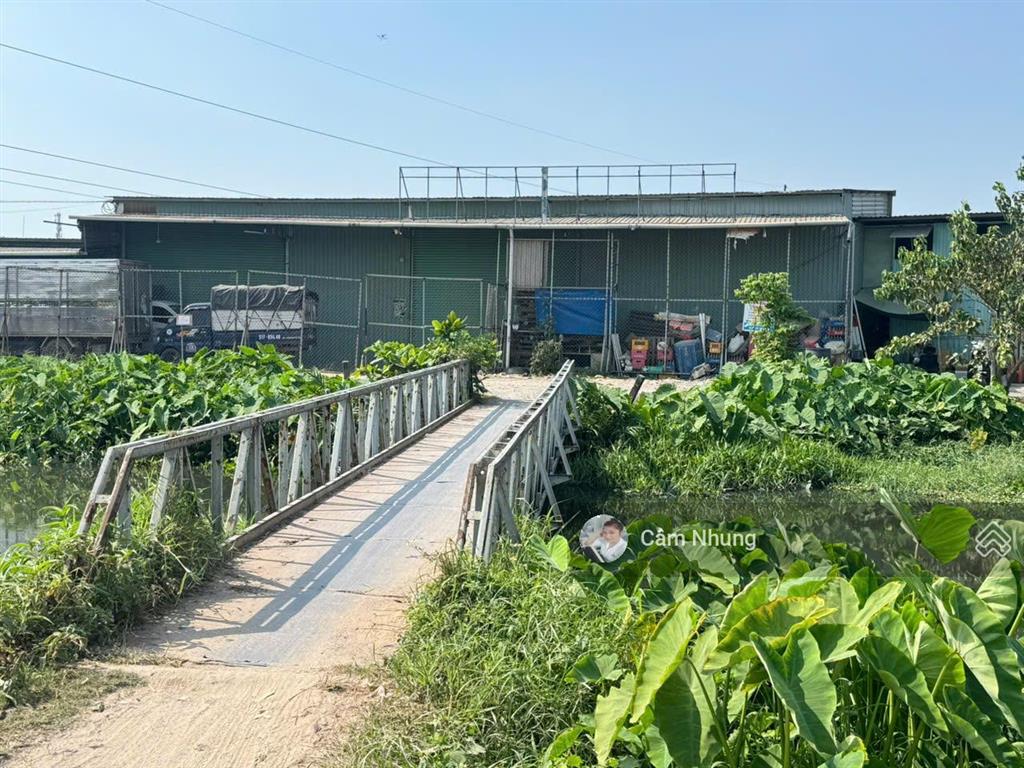 Bán nhà cấp 4 mặt view sông diện tích 494m² bình hòa 3, ta  bd, giá 4tỷ5,  0908 002 ***