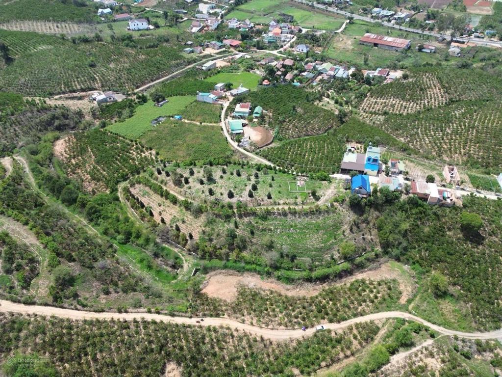 Giảm gấp 6tỷ. bán 27.000m2 đất xã ninh gia, đức trọng, lâm đồng. giá 16 tỷ
