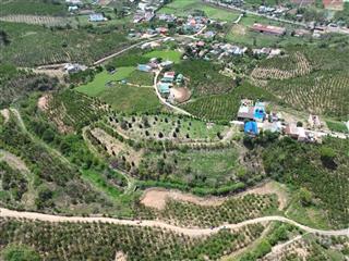 Giảm gấp 6tỷ. bán 27.000m2 đất xã ninh gia, đức trọng, lâm đồng. giá 16 tỷ