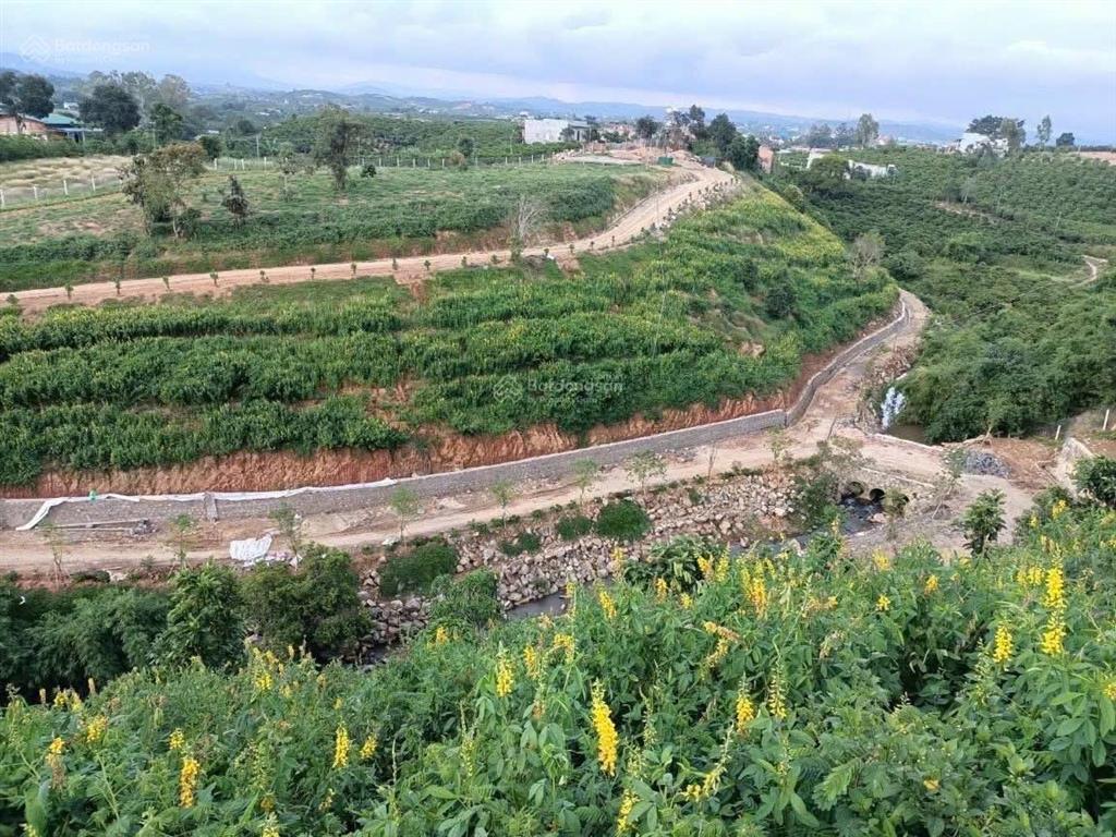 Giảm gấp 6tỷ. bán 27.000m2 đất xã ninh gia, đức trọng, lâm đồng. giá 16 tỷ