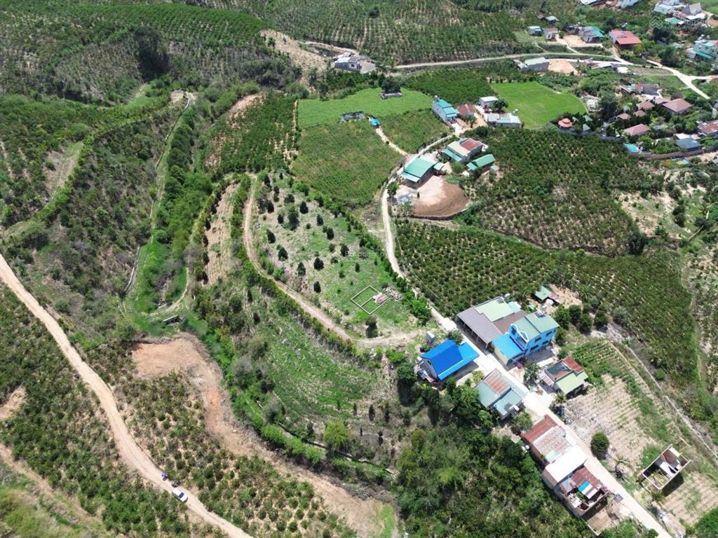 Giảm gấp 6tỷ. bán 27.000m2 đất xã ninh gia, đức trọng, lâm đồng. giá 16 tỷ
