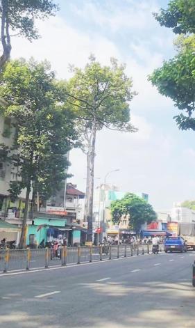 Ngộp nh tòa nhà 1 hầm 10 tầng, đường trần phú, phường an đông, đoạn đẹp 2 chiều. giá tốt ib