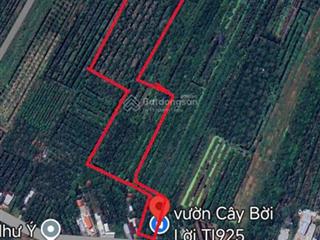 Bán đất gần dự an vincom tại xã phú hữu, huyện châu thành, tỉnh hậu giang giá 6,8 tỷ