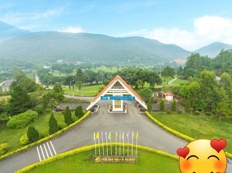 Bán căn biệt thự vina resort sân golf tam đảo, tam đảo  (vĩnh phúc ), phú thọ.