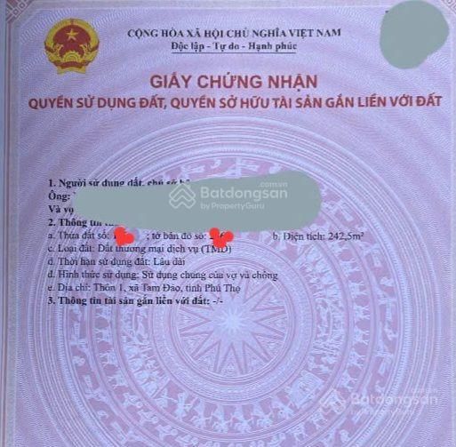 Bán đất nghỉ dưỡng tam đảo  vĩnh phúc ( phú thọ ). lô đất đắc địa tại phố kinh doanh bậc nhất