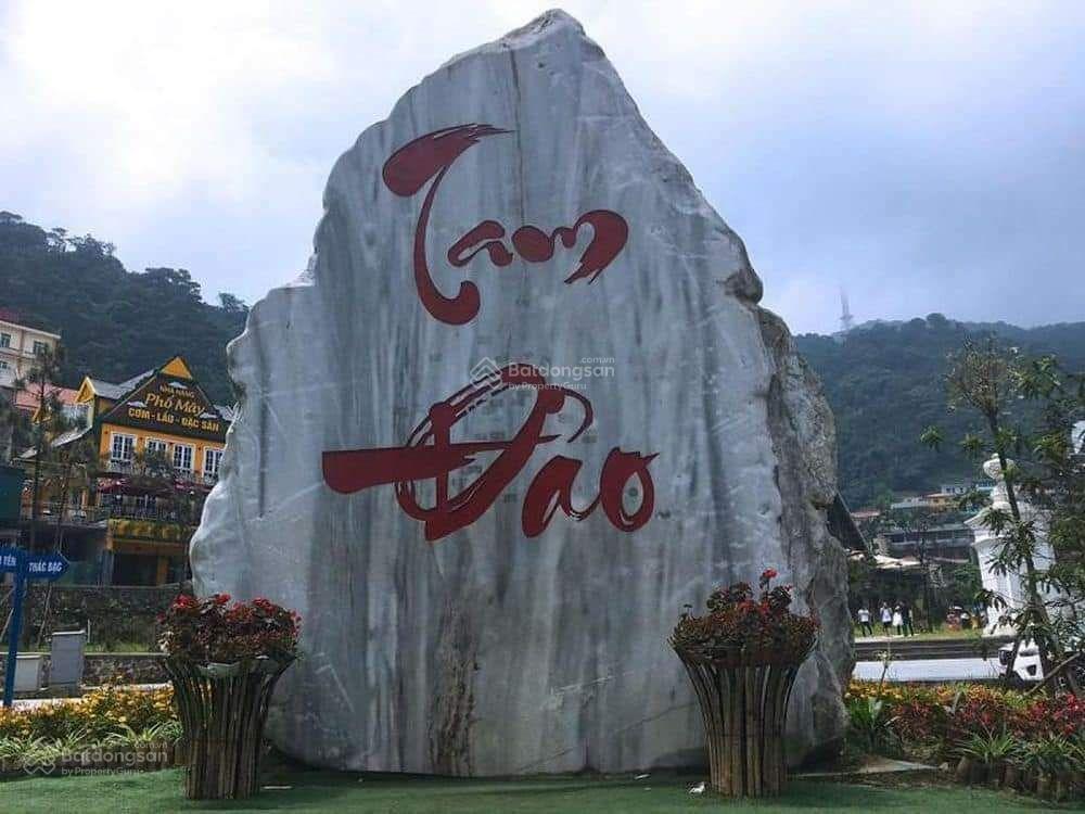 Bán lô đất 395m2, 2 mặt thoáng, view toàn bộ thôn 1 khu du lịch tam đảo, vĩnh phúc, phú thọ