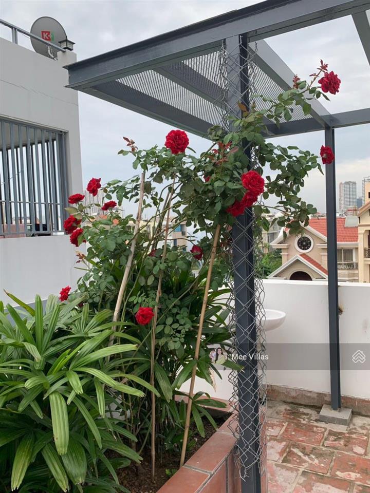 Chính chủ bán biệt thự sân vườn hồ bơi đường số 31c, an phú, quận 2 dt 9x20m, trệt 2 lầu giá 47 tỷ