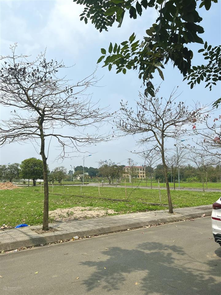 Gia đình cần bán nhanh lô lk 85m2 giá 1 tỷ 5, có sổ đỏ, cạnh chợ trung tâm tt hưng hoá, phú thọ