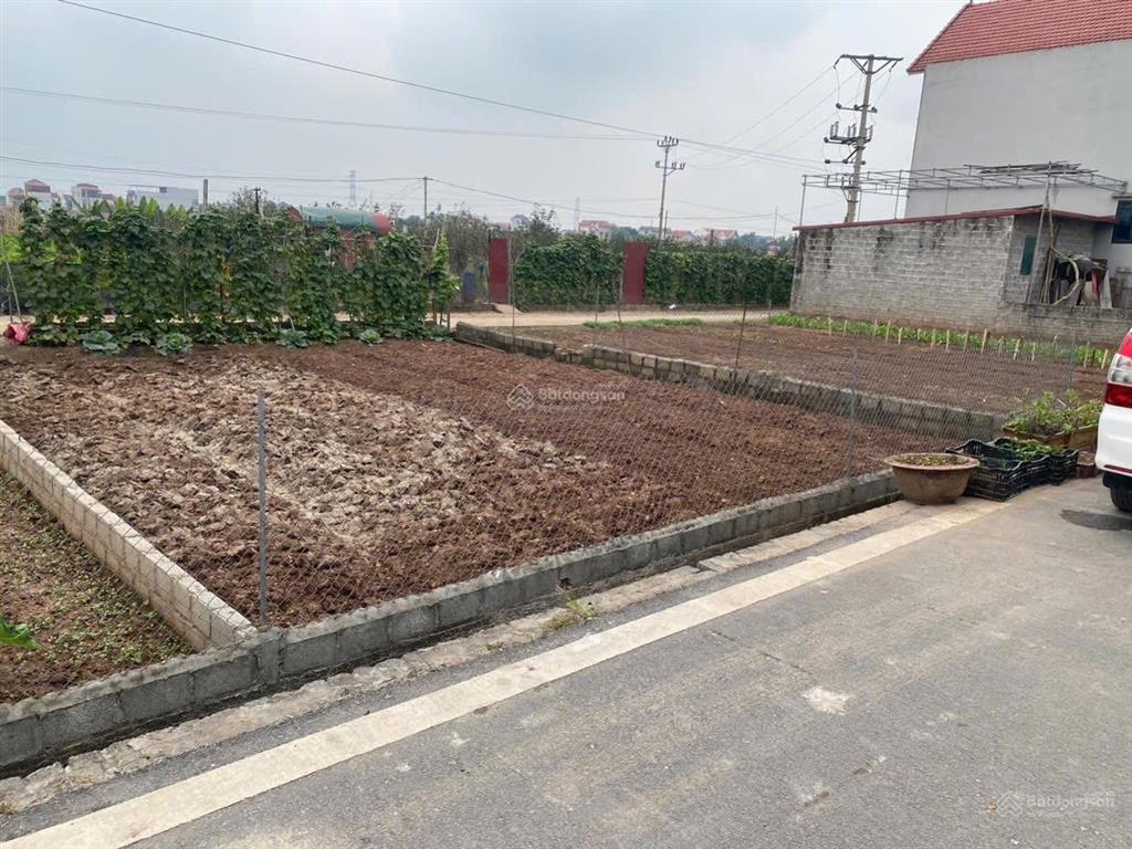 Hàng cực hot! bán gấp lô đấu giá 108m2 sát vành đai 4 tại mễ sở  văn giang. mặt tiền 9m