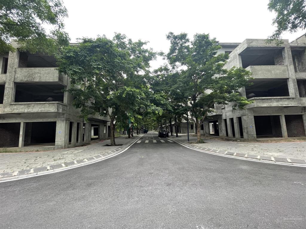 Hàng cực hiếm! chủ nhà bán gấp lô shophouse dự án vạn tuế  đối diện chung cư ecopark