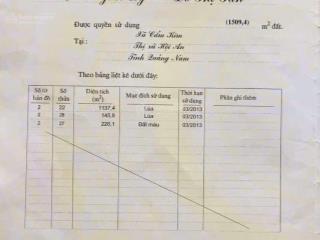 1500m2 đất màu + lúa view sông đối diện dự án d'or và đảo ký ức hội an