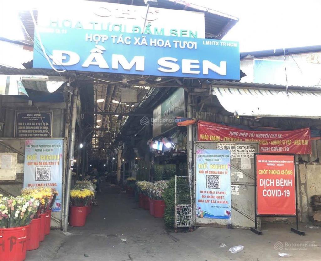 Nhà phố mặt tiền chợ hoa đầm sen đường nguyễn văn phú, phường 5, quận 11