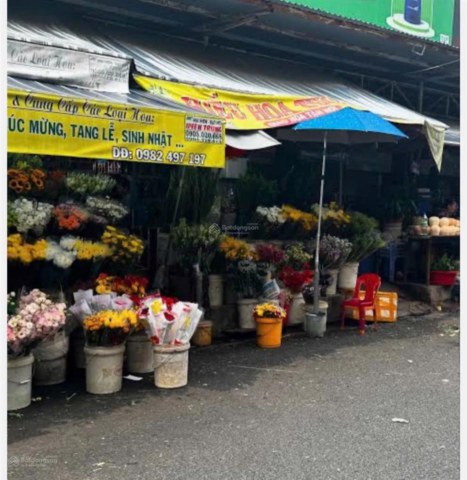 Nhà phố mặt tiền chợ hoa đầm sen đường nguyễn văn phú, phường 5, quận 11