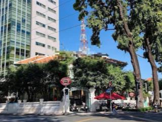 Biệt thự sân vườn góc 2 mặt tiền lê quý đôn  điện biên phủ, siêu xinh tại quận 3