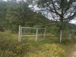 Bán gần 4 sào đất mặt tiền tại lộc nam, tp bảo lộc, lâm đồng, sổ đỏ chính chủ,  0943 678 ***