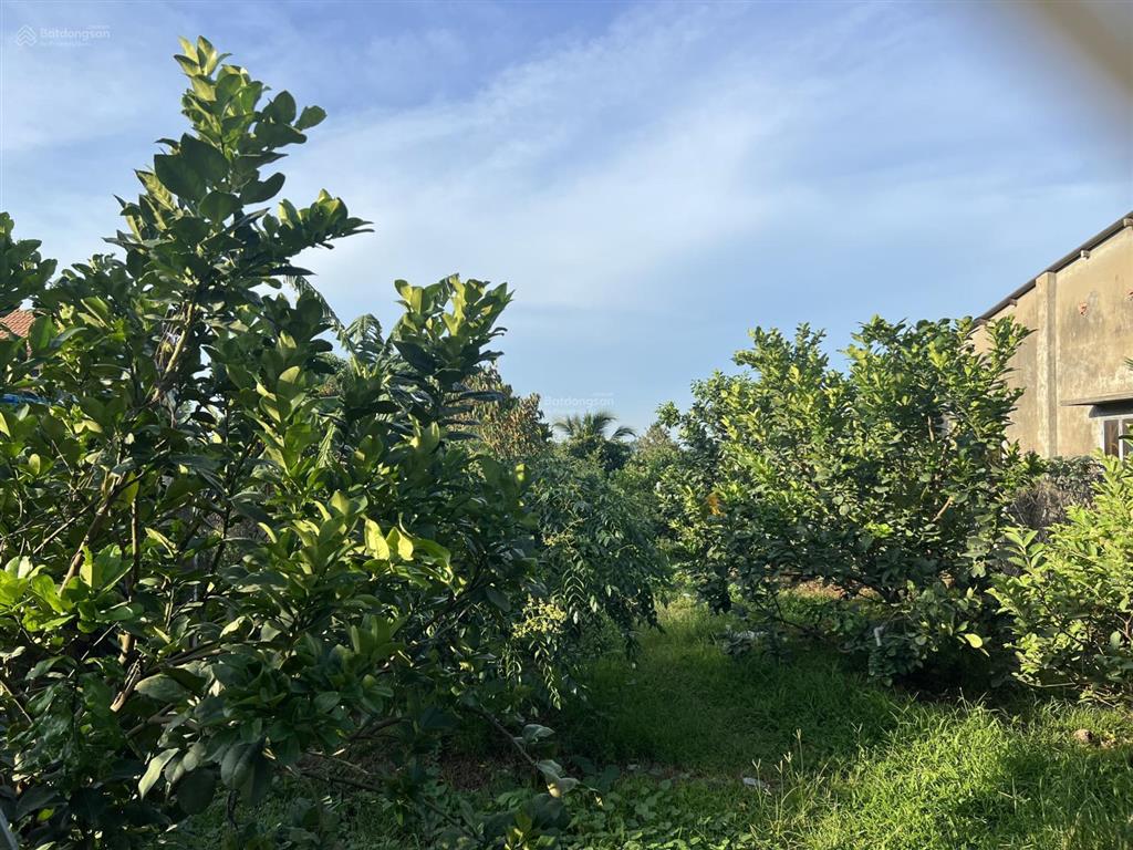 Bán 1000m2 mt bình hoà  cây dương giá 5,2 tỷ shr view sông đồng nai đường rộng thoáng làm nhà vườn