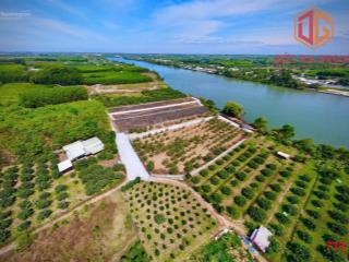 Bán 1608m2 đường đa lộc bình lợi (cũ). giá 6,7 tỷ đã setup sẵn bờ kè có 200m2 thổ cư