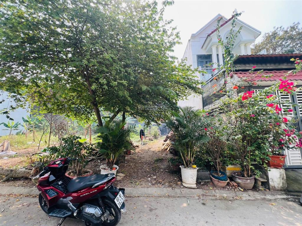 Đất tdc phổ quang ngay bình hoà 100m2 giá mềm 1,7 tỷ shr xây dựng ngay