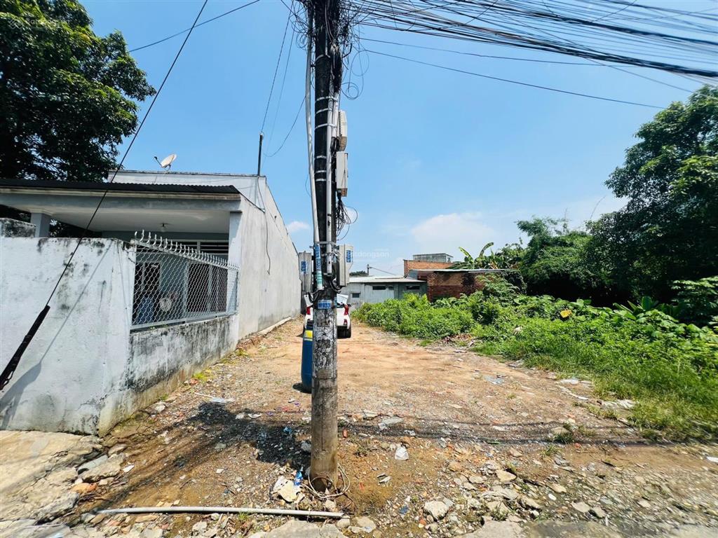 Đất bán p. bửu long gần trạm thu phí shr từng lô 1,6 tỷ 86m2 giá tốt đầu tư hxh 5m xây dựng tự do