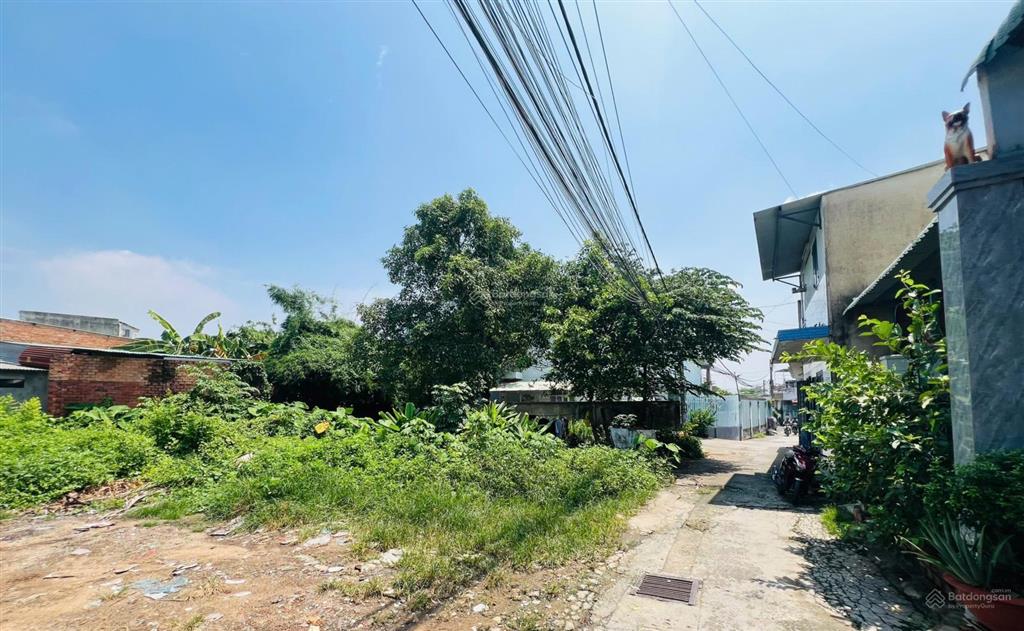 Đất bán p. bửu long gần trạm thu phí shr từng lô 1,6 tỷ 86m2 giá tốt đầu tư hxh 5m xây dựng tự do