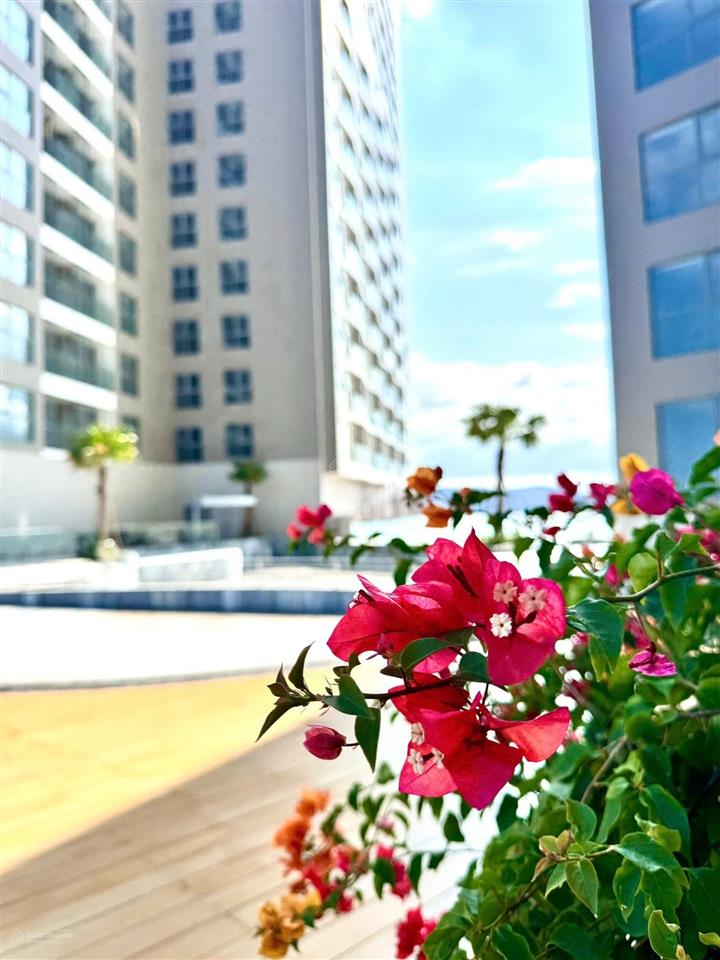 Cần bán gấp căn 2pn + view biển, vqmt, ngắm pháo hoa  giá tham khảo tốt trong khu vực