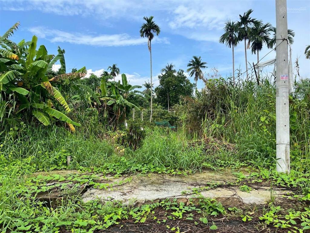 Bán nền thổ cư tây đô ecopark cách ql1a 100m, gần bệnh viện số 10, chợ, đại học võ trường toản