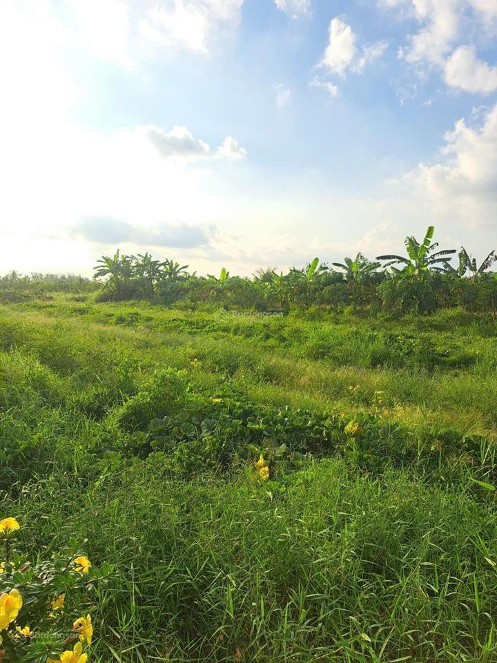 Bán 1672m2 đất mặt tiền đường nhựa về xã đông phước a (nối ql1a  tỉnh lộ 925) lộ oto tải tới đất