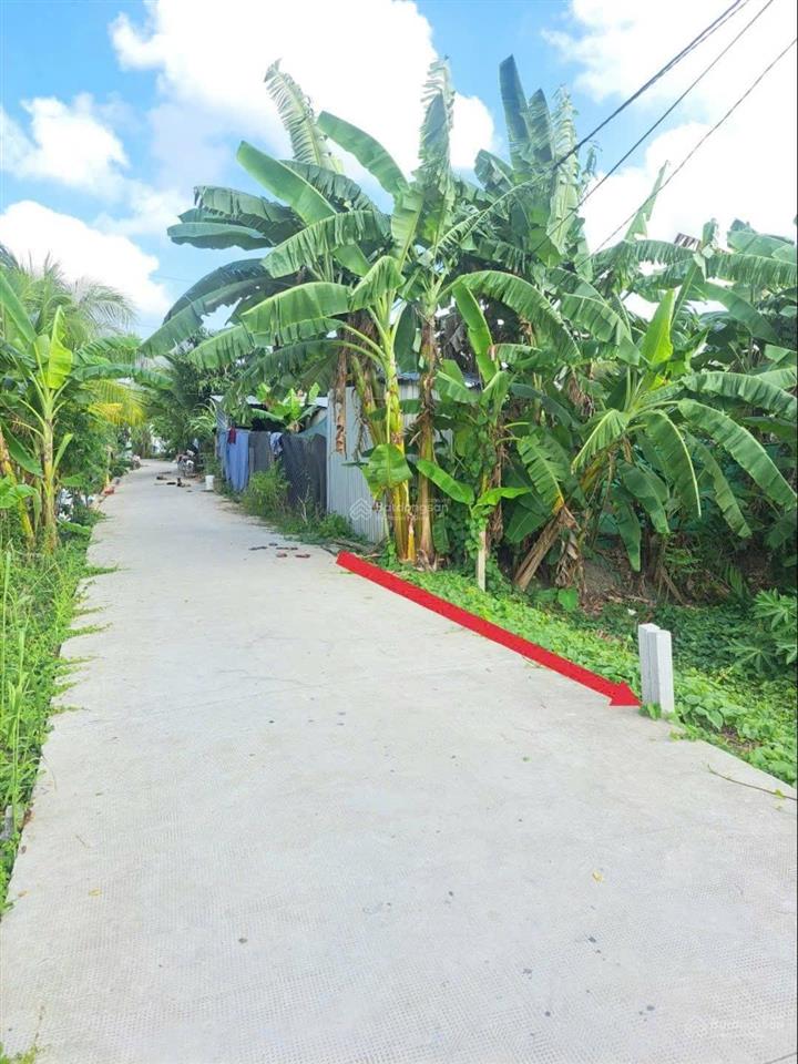 Bán nền thổ cư gần đh võ trường toản, kcn tân phú thạnh, bệnh viện số 10 xã đông phước, cần thơ