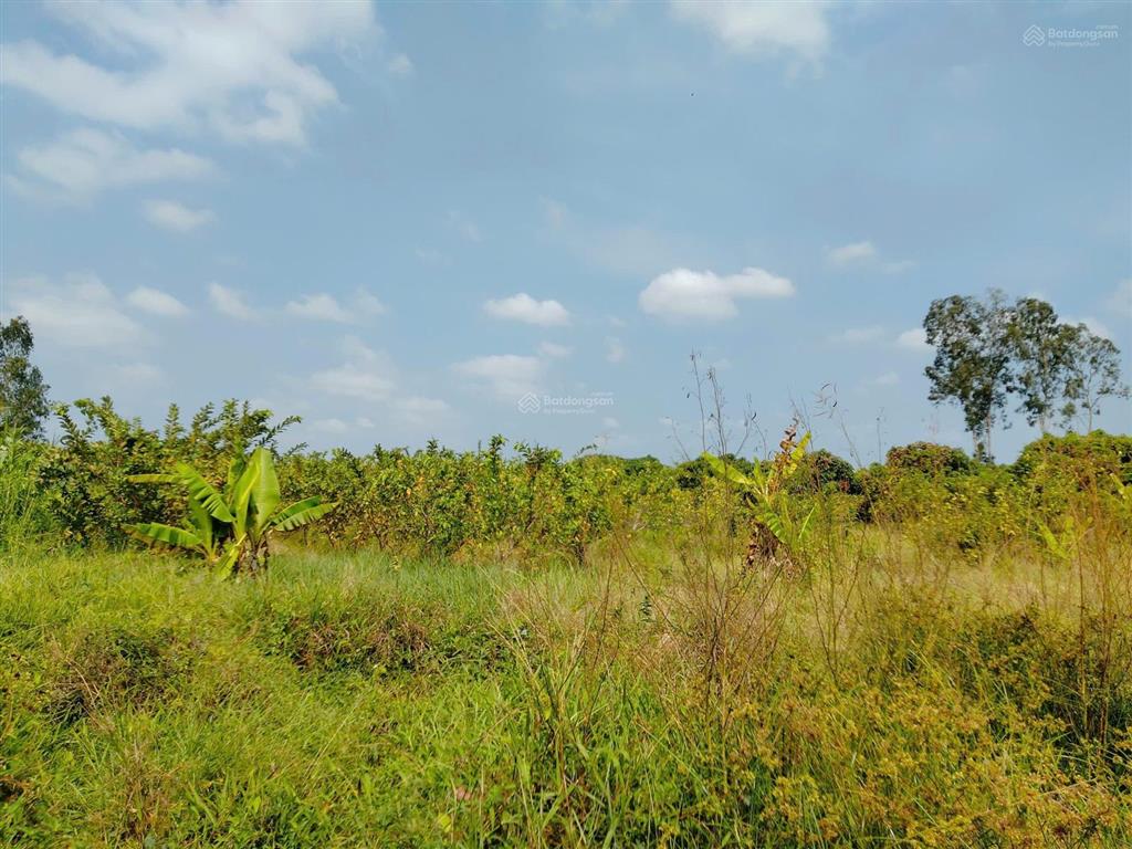 Bán đất tặng nhà trệt kiên cố lộ ô tô view sông, sau giáp kênh thủy lợi 10m cách đường tỉnh 922 1km