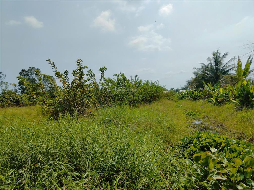 Bán đất tặng nhà trệt kiên cố lộ ô tô view sông, sau giáp kênh thủy lợi 10m cách đường tỉnh 922 1km