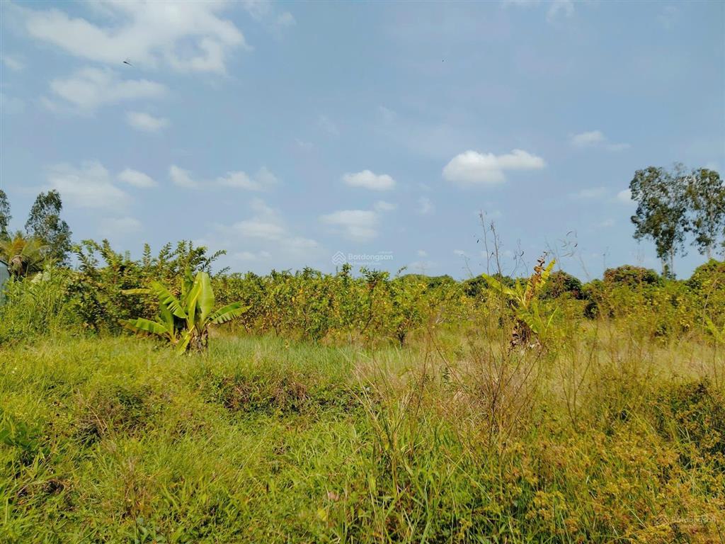 Bán đất tặng nhà trệt kiên cố lộ ô tô view sông, sau giáp kênh thủy lợi 10m cách đường tỉnh 922 1km