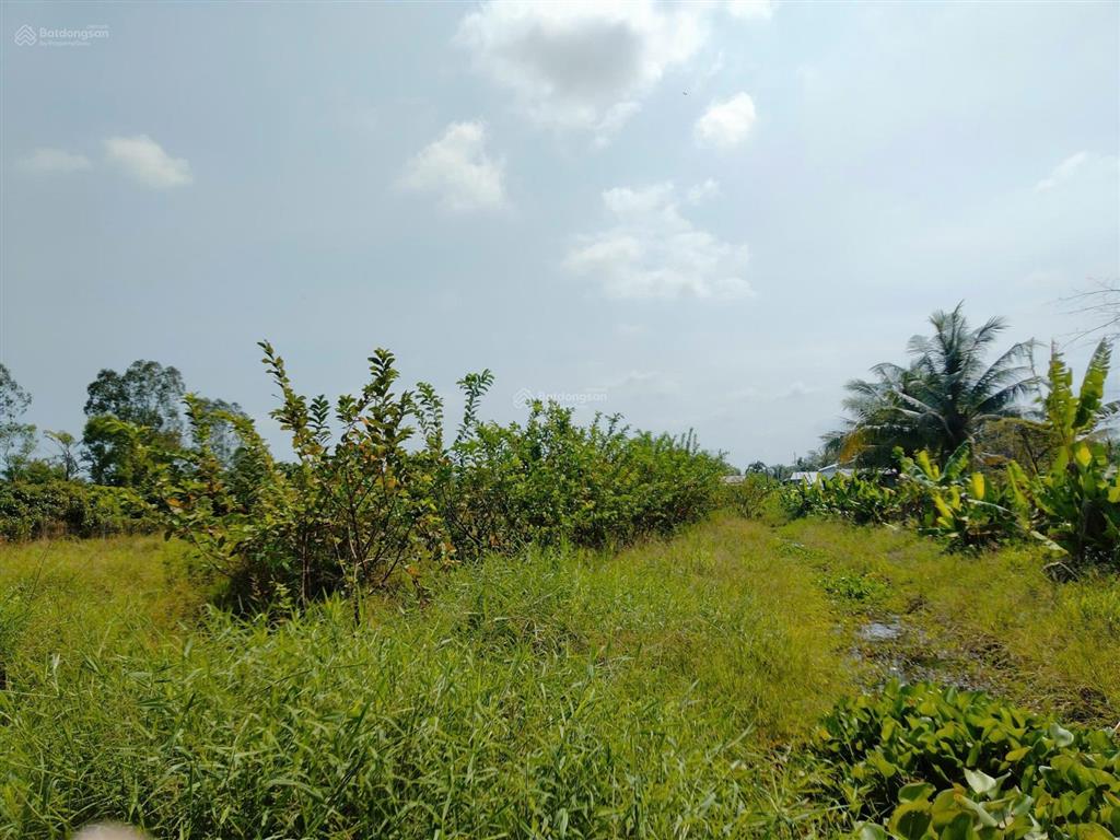 Bán đất tặng nhà trệt kiên cố lộ ô tô view sông, sau giáp kênh thủy lợi 10m cách đường tỉnh 922 1km