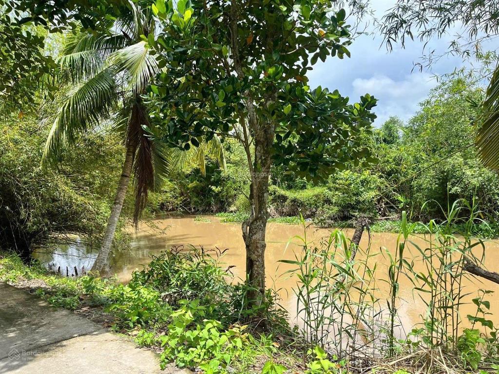 Nền thổ cư cái răng, sau kdc nam long 2 có view sông thoáng mát cách bến xe trung tâm cần thơ 3km