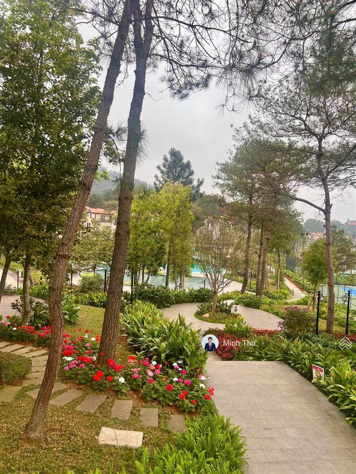 Duy nhất căn biệt thự rừng thông có hầm, kinh doanh tự do, đất ở lâu dài, đã hiện hữu 0906 879 ***