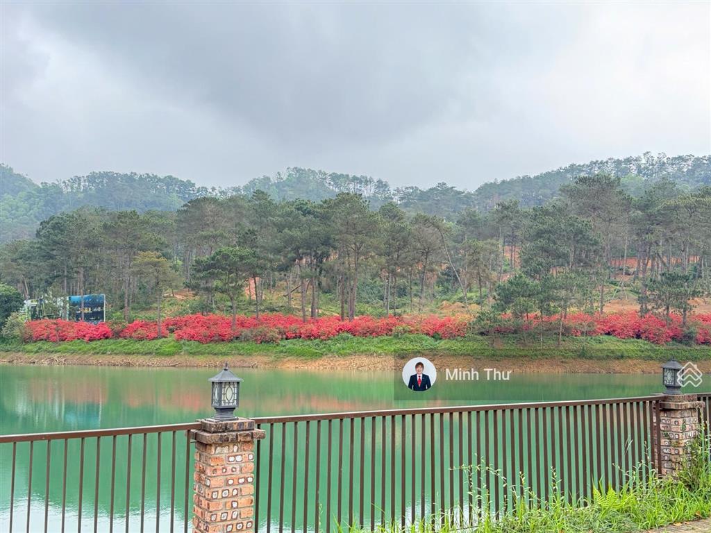 Duy nhất căn biệt thự rừng thông có hầm, kinh doanh tự do, đất ở lâu dài, đã hiện hữu 0906 879 ***