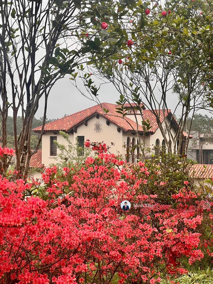 Duy nhất căn biệt thự rừng thông có hầm, kinh doanh tự do, đất ở lâu dài, đã hiện hữu 0906 879 ***