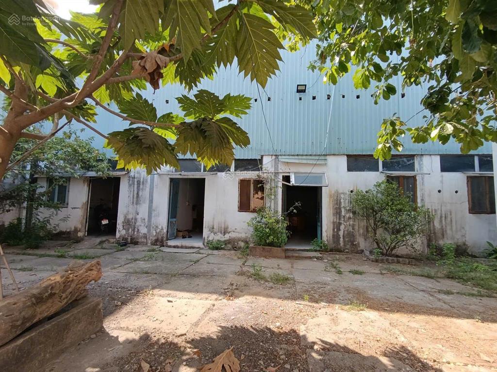 Cho thuê văn phòng, nhà, xưởng mặt tiền đường phạm hữu lầu, vị trí đắc địa, thuận lợi kd đa ngành