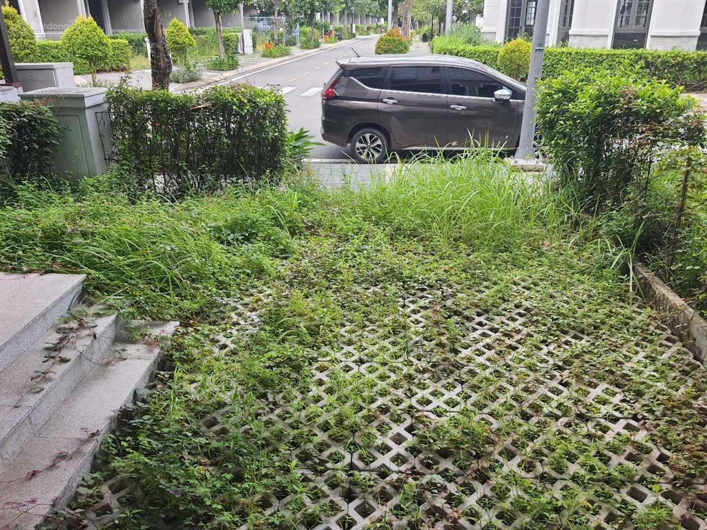 Giá đầu tư biệt thự khu compound amelie pmh, nhà thô, tiện ích đẳng cấp, có thang máy, chỉ 12,5 tỷ
