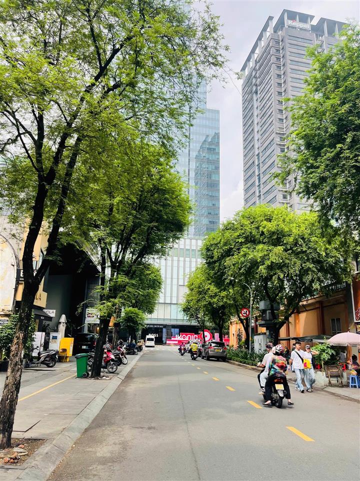 Bán nhà mặt tiền quận 1 shophouse tôn thất hiệp phường sài gòn đang thuê 100tr/tháng